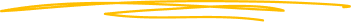 Vector behind price